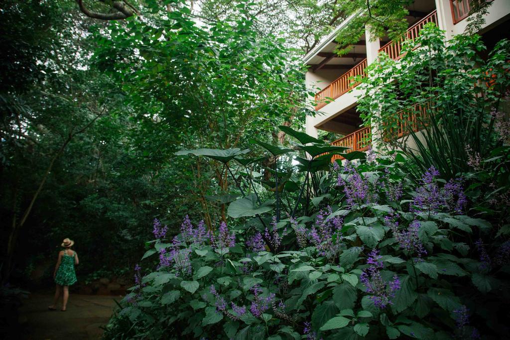 Honeywood Forest Lodge Port Shepstone Εξωτερικό φωτογραφία