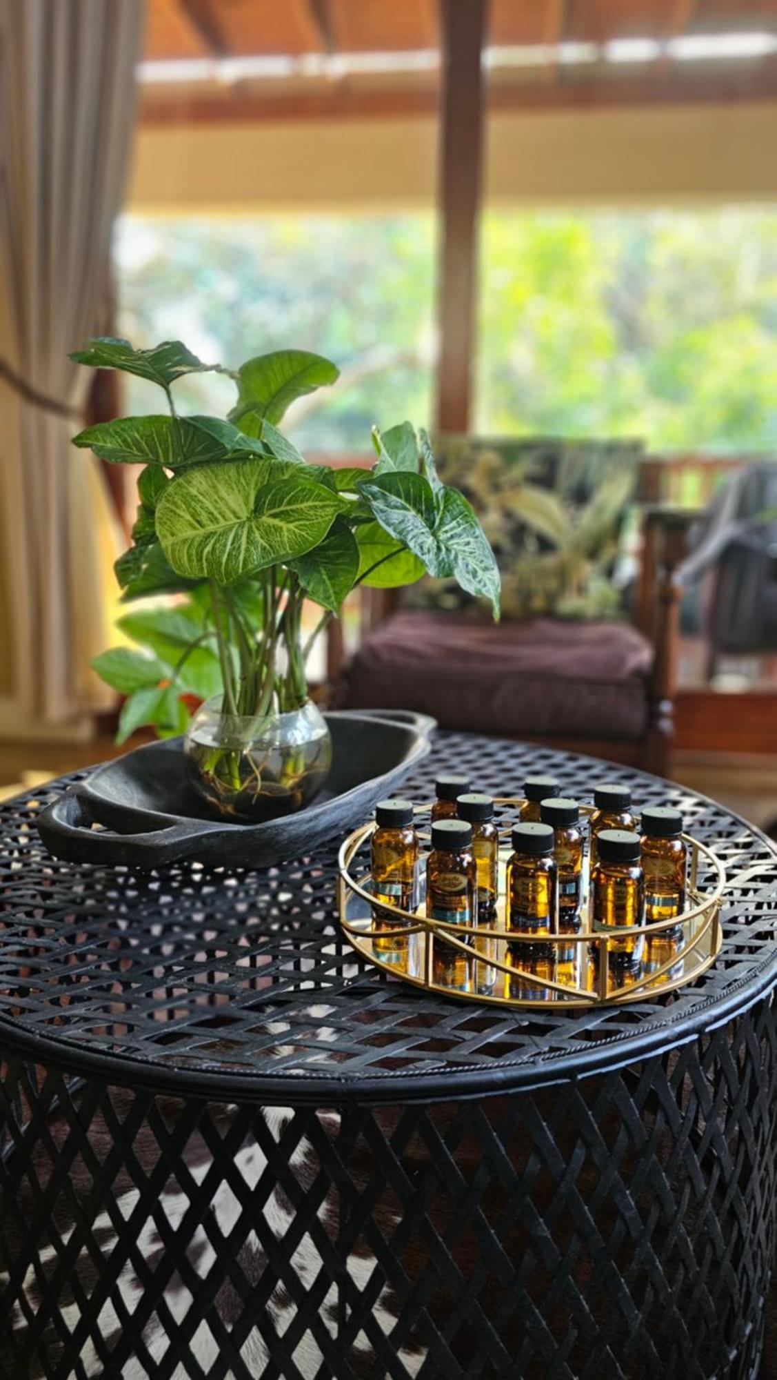 Honeywood Forest Lodge Port Shepstone Εξωτερικό φωτογραφία
