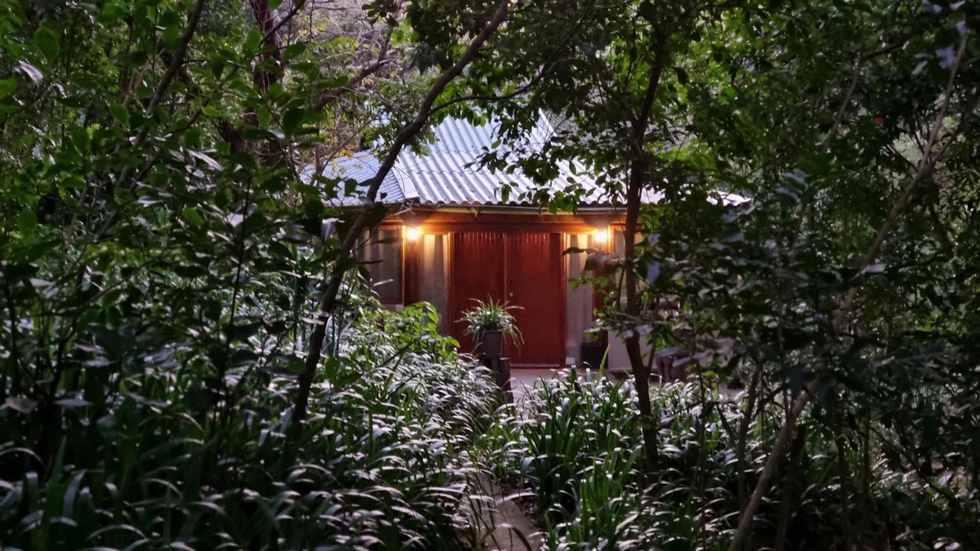 Honeywood Forest Lodge Port Shepstone Εξωτερικό φωτογραφία