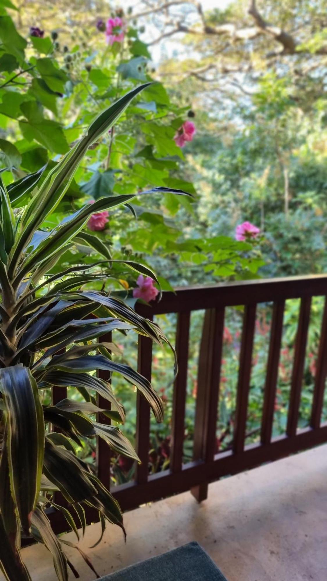 Honeywood Forest Lodge Port Shepstone Εξωτερικό φωτογραφία