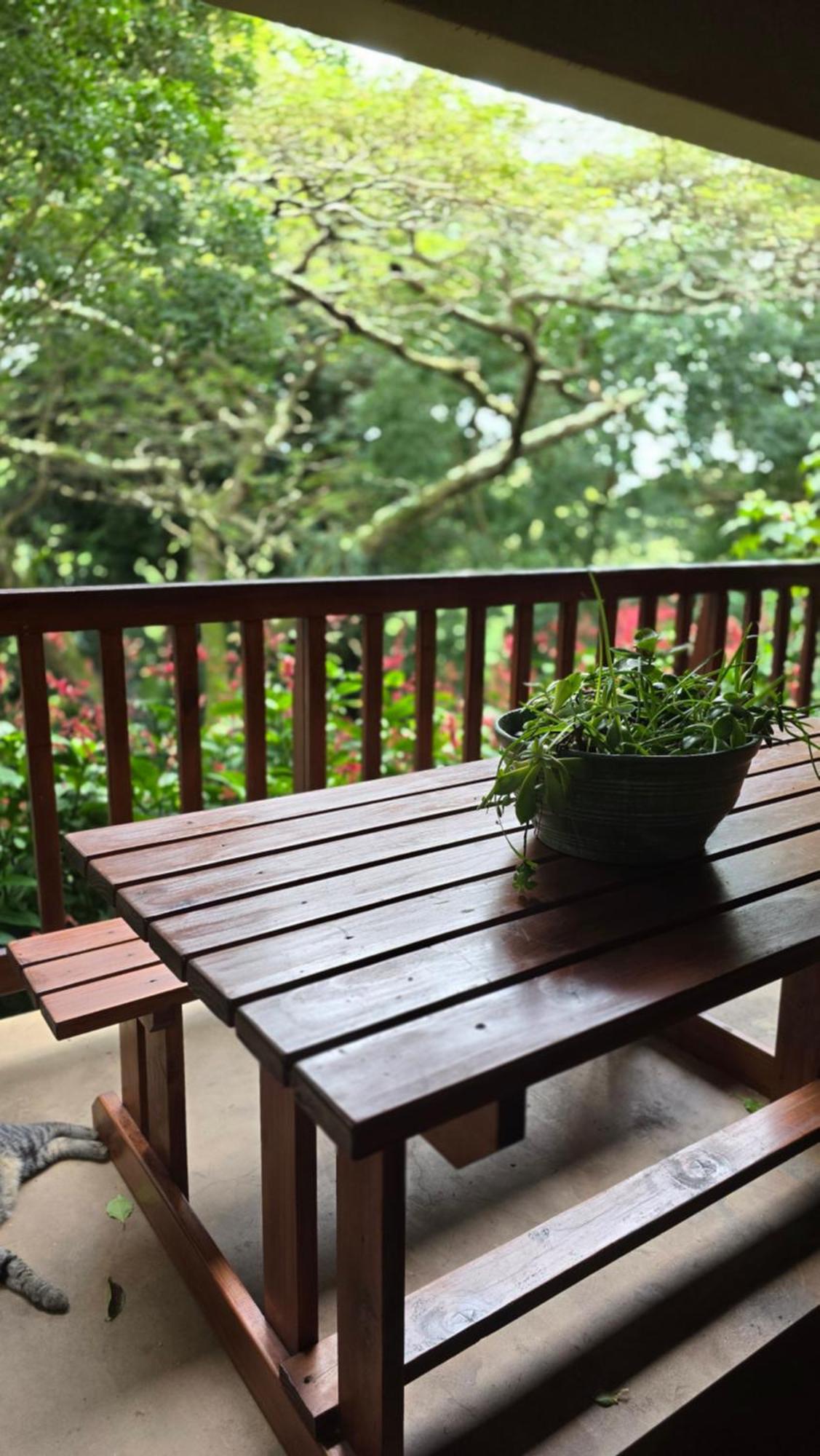 Honeywood Forest Lodge Port Shepstone Εξωτερικό φωτογραφία